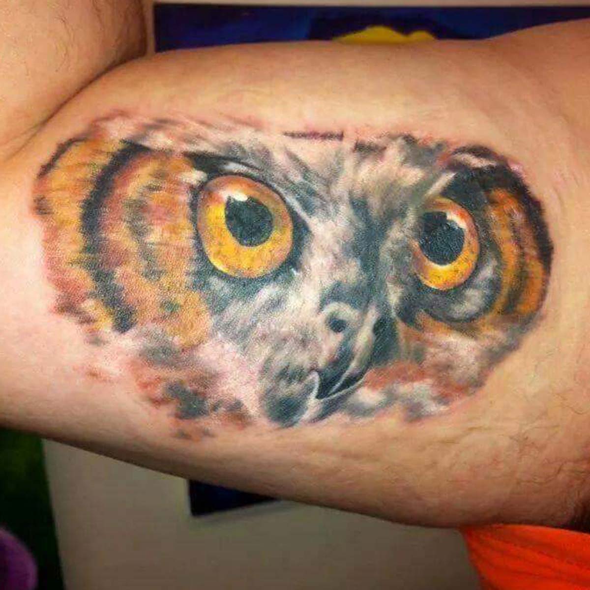 Beautiful Owl Design