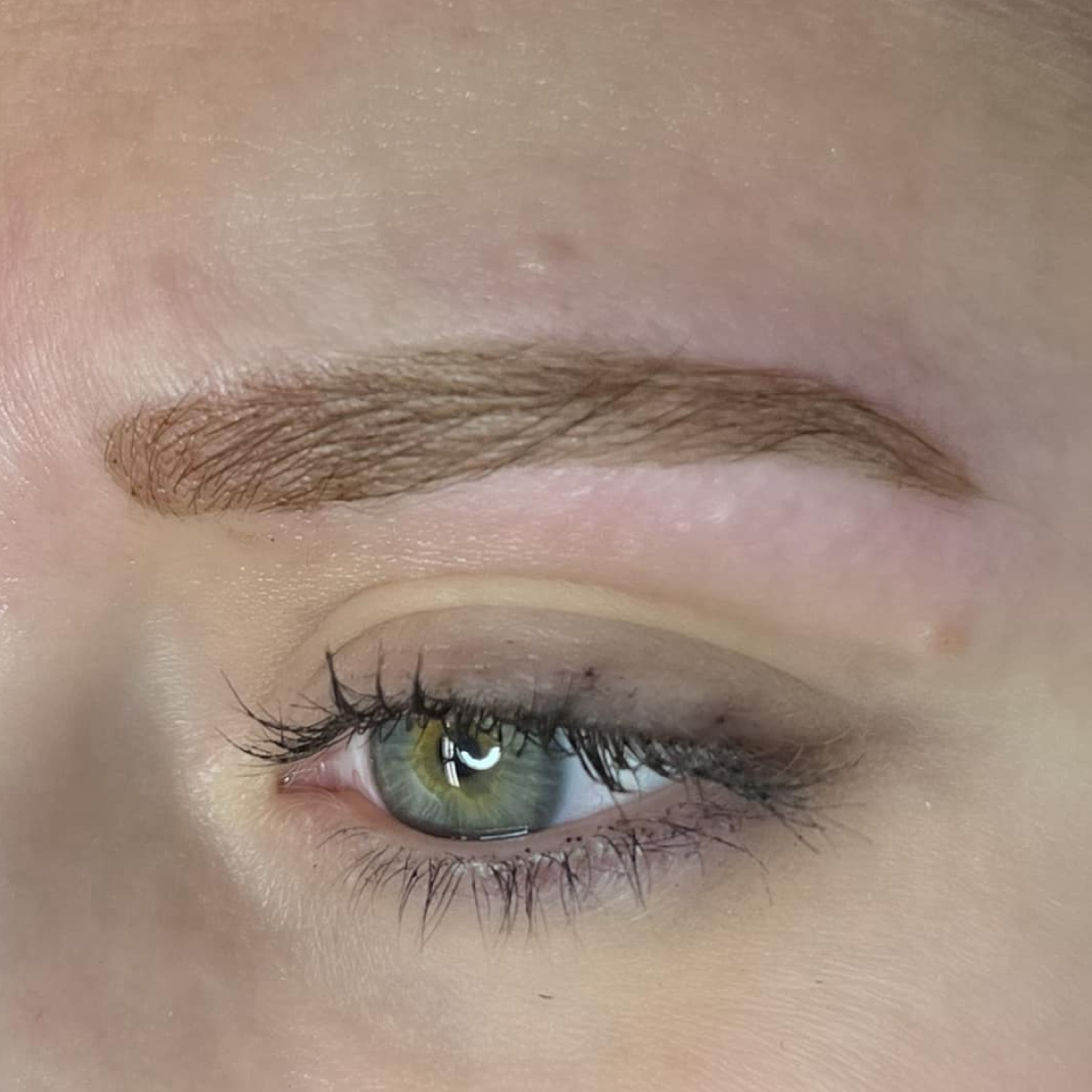 Brow Services in Saint Albans, VT